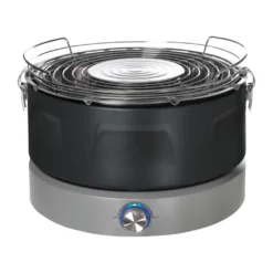 QUIGG Holzkohlegrill GT-GwF-01 Mit Elektrischer Belüftung