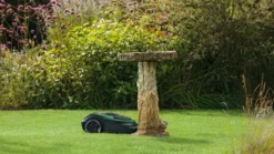 Bosch Indego M 700 Mähroboter -Günstiges Laube Lust Geschäft e476b7e34704505b61216c98cb244937