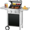 ProfiCook Gasgrill, Mit Klappbaren Seitentischen, 2 Edelstahlbrenner, Stufenlose Temperatursteuerung, Inkl. Temperaturanzeige, Balkon-Grill, Grillfläche: 43 X 39 Cm, PC-GG 1255 1 ProfiCook Gasgrill, Mit Klappbaren Seitentischen, 2 Edelstahlbrenner, Stufenlose Temperatursteuerung, Inkl. Temperaturanzeige, Balkon-Grill, Grillfläche: 43 X 39 Cm, PC-GG 1255 -Günstiges Laube Lust Geschäft e4ac0b4b28ca34684ca08827f89d4673