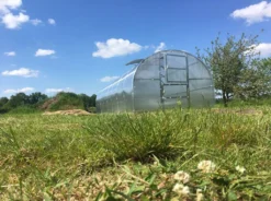 Gewächshaus BALTIC LT 3x4m (L X B) Mit 4 Mm Polycarbonat. 13 Gewächshaus BALTIC LT 3x4m (L X B) Mit 4 Mm Polycarbonat. -Günstiges Laube Lust Geschäft e4f407f41e1318be32ab1c548f06e8af