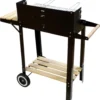 Kynast Grillwagen Deluxe Holzkohle Grill BBQ