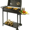 Mangal Köln Schaschlikgrill Grill Mit Deckel 2 Mm Thermometer Ablage Und Schüreisen -Günstiges Laube Lust Geschäft ec94b4ccf496f761ae12d2265059743e