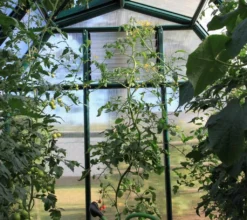 Rion Kunststoff Gewächshaus Smart 36l | Grün | 387x204x198 Cm Rion Kunststoff Gewächshaus Smart 36 | Grün | 387x204x198 Cm 14 Rion Kunststoff Gewächshaus Smart 36l | Grün | 387x204x198 Cm Rion Kunststoff Gewächshaus Smart 36 | Grün | 387x204x198 Cm -Günstiges Laube Lust Geschäft f0ae7cc046134d8ec0bb7160f815be4c