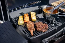 Enders Gasgrill / Tischgrill / Campinggrill Urban Pro 48x32cm -Günstiges Laube Lust Geschäft f6dda3c649ce10815567759de24d0478