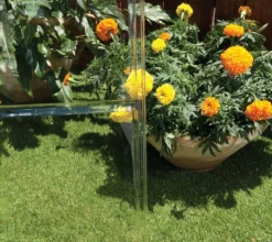 Palram - Canopia Aluminium Gewächshaus Harmony 66 | Grau | 185x185x208 Cm -Günstiges Laube Lust Geschäft fa5ddd23c8cc70bc44766c459eb54407