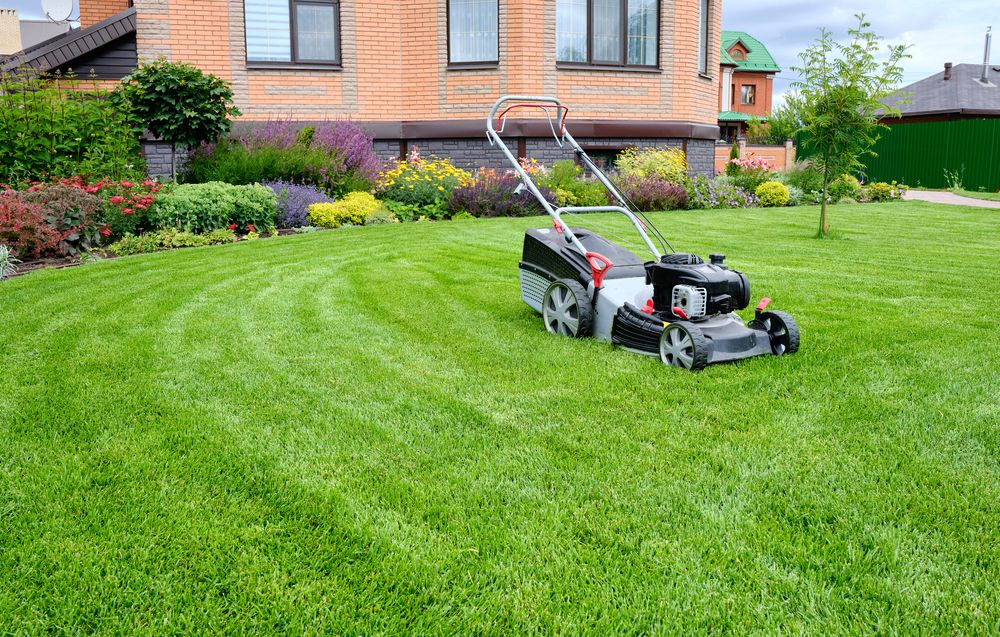 Günstiges Laube Lust Geschäft -Günstiges Laube Lust Geschäft